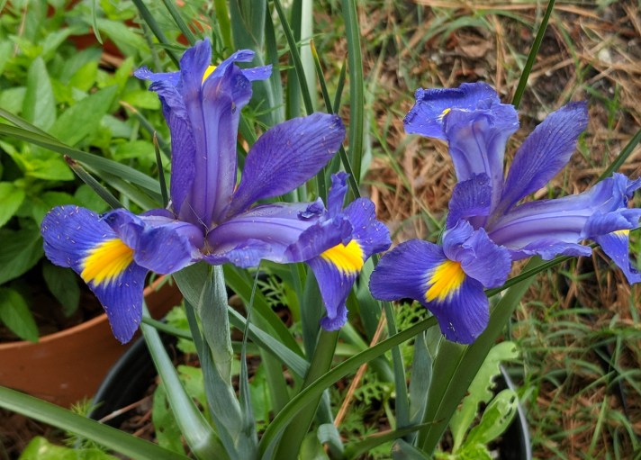 Maker:L,Date:2017-9-23,Ver:5,Lens:Kan03,Act:Kan02,E-Y